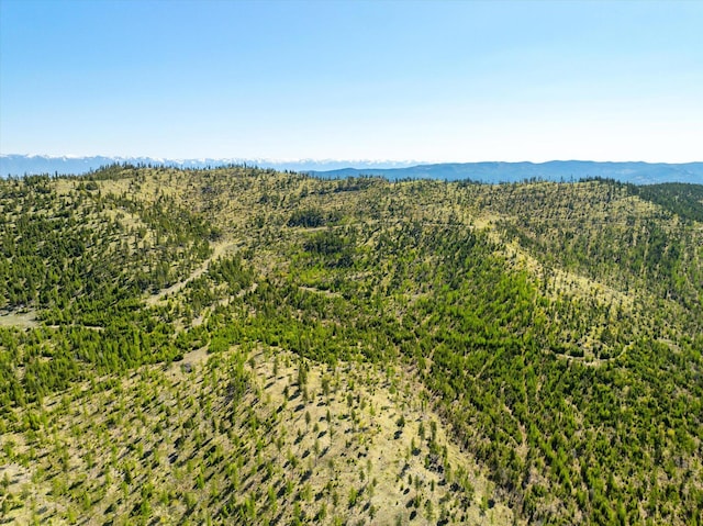 NHN Ashley Lake Rd, Kalispell, MT 59901