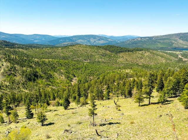NHN Ashley Lake Rd, Kalispell, MT 59901