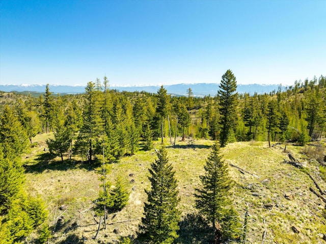 NHN Ashley Lake Rd, Kalispell, MT 59901