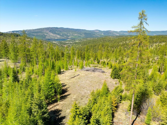 NHN Ashley Lake Rd, Kalispell, MT 59901