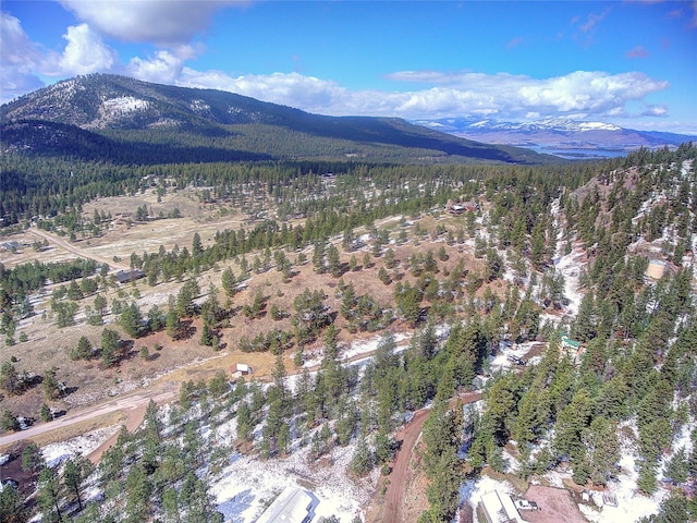 31009 Canyon View Pl, Polson, MT 59860