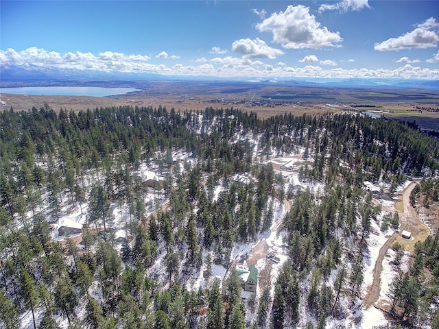 31009 Canyon View Pl, Polson, MT 59860
