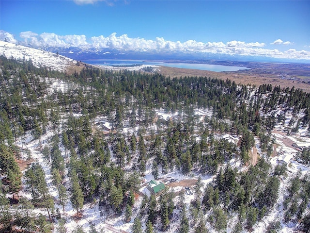 31009 Canyon View Pl, Polson, MT 59860