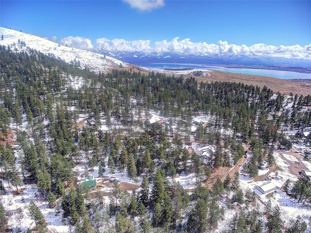 31009 Canyon View Pl, Polson, MT 59860
