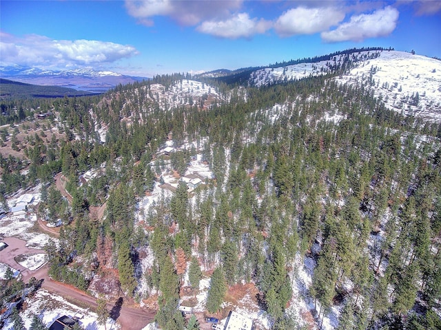 31009 Canyon View Pl, Polson, MT 59860