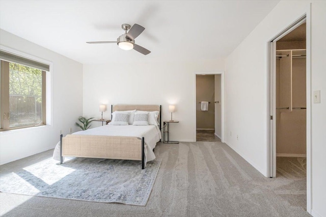carpeted bedroom featuring a walk in closet, a ceiling fan, baseboards, and a closet