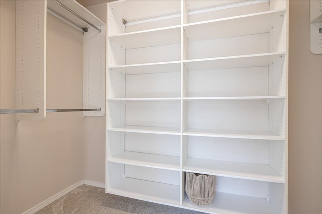 walk in closet with carpet floors
