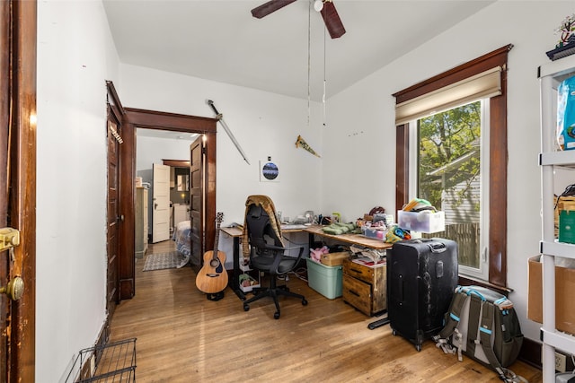 528 3rd Ave E, Kalispell, MT 59901 - office with wood finished floors and a ceiling fan