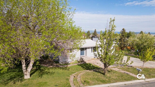 obstructed view of property with a front lawn