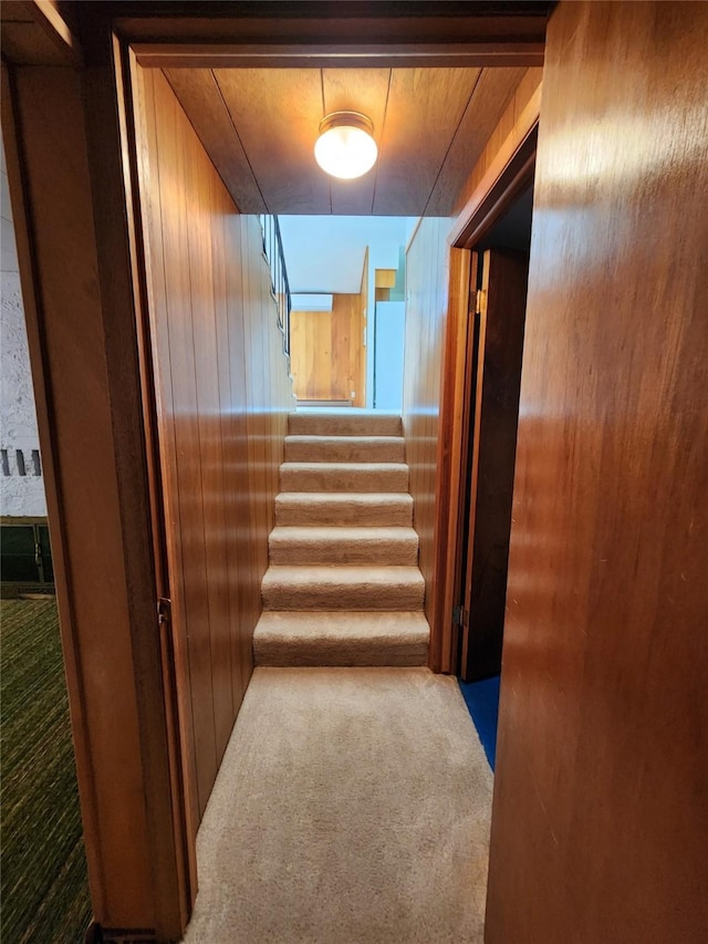 172 Scenery Rd, Libby, MT 59923 - stairway featuring carpet flooring and wood walls
