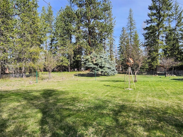 172 Scenery Rd, Libby, MT 59923 - view of yard
