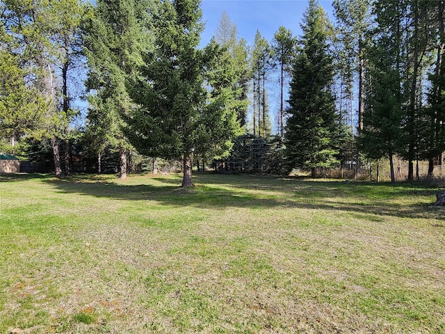172 Scenery Rd, Libby, MT 59923 - view of green lawn