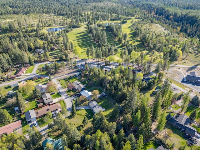 172 Scenery Rd, Libby, MT 59923 - aerial overview of property's location with a forest and a large body of water