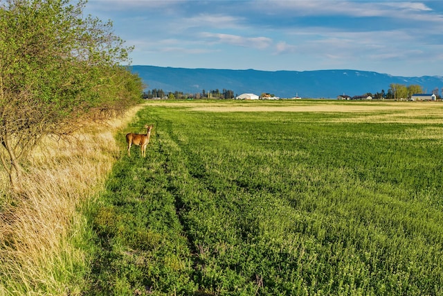465 Farm Rd, Kalispell, MT 59901