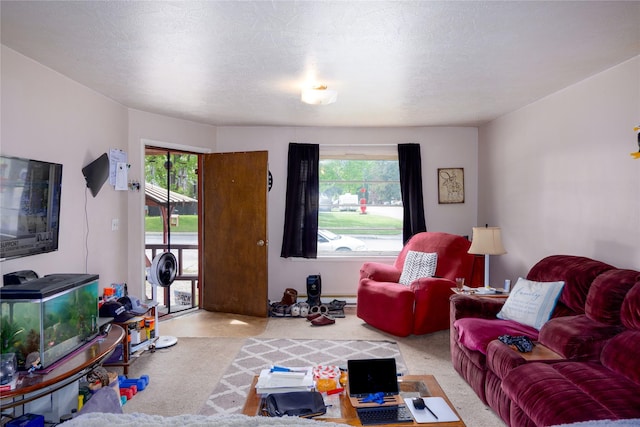 1005 Idaho Ave, Libby, MT 59923 - living area featuring plenty of natural light and a baseboard radiator