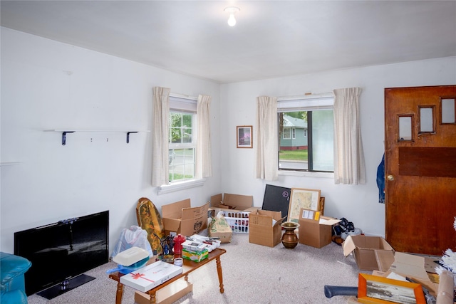 1005 Idaho Ave, Libby, MT 59923 - misc room with carpet floors