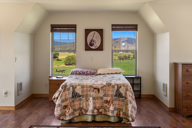 61253 Watson Rd, Saint Ignatius, MT 59865 - bedroom featuring wood finished floors, multiple windows, vaulted ceiling, and heating unit