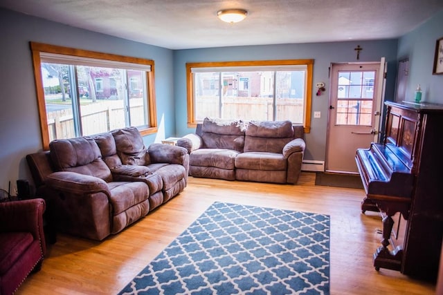 living area featuring a baseboard radiator, wood finished floors, and plenty of natural light