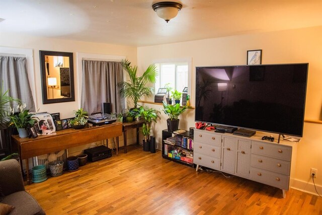 living room featuring wood finished floors