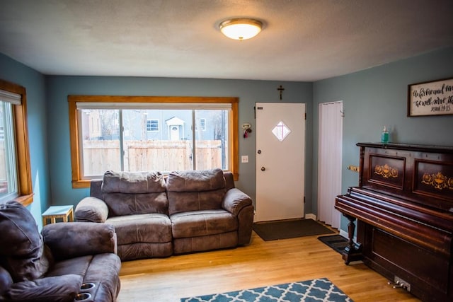 living room featuring wood finished floors