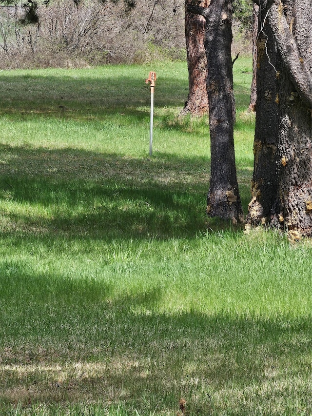 4743 Sloway Frontage Rd, Superior, MT 59872 - view of green lawn