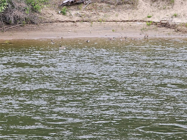 4743 Sloway Frontage Rd, Superior, MT 59872 - water view