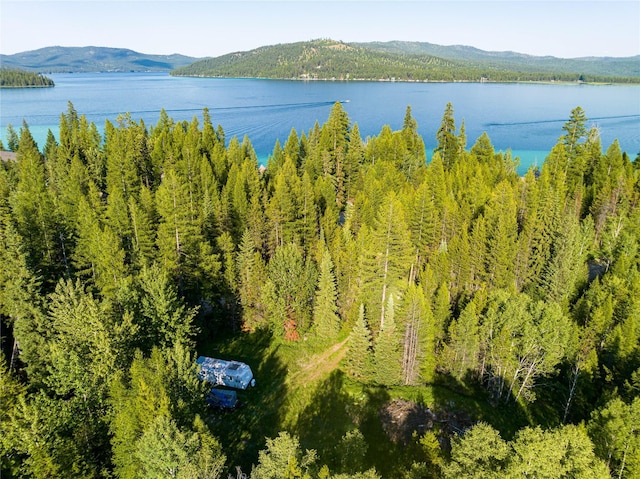 NHN Ashley Lake Rd, Kila, MT 59920