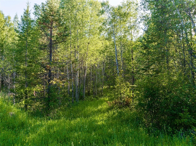 NHN Ashley Lake Rd, Kila, MT 59920