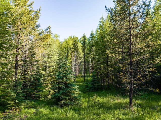 NHN Ashley Lake Rd, Kila, MT 59920