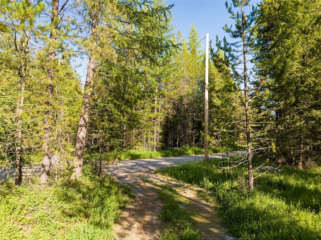 NHN Ashley Lake Rd, Kila, MT 59920