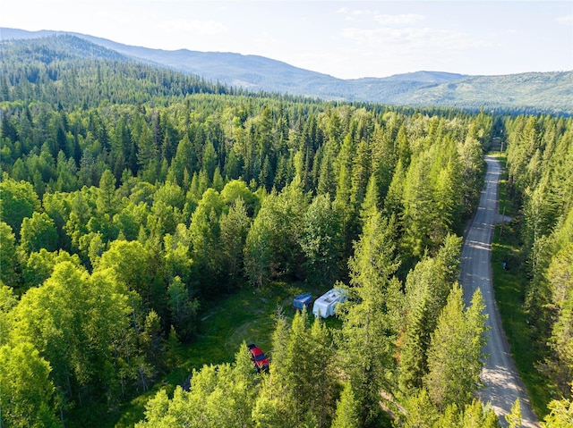 NHN Ashley Lake Rd, Kila, MT 59920