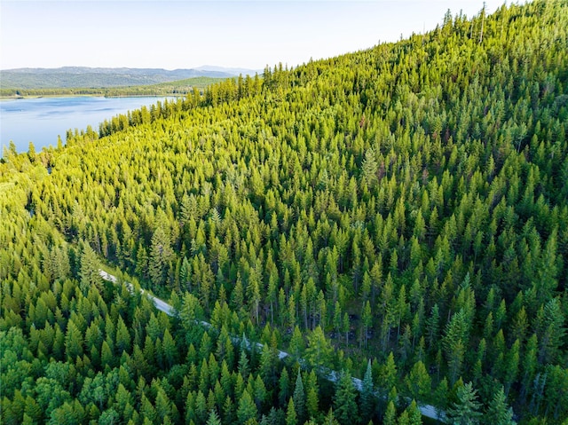 NHN Ashley Lake Rd, Kila, MT 59920