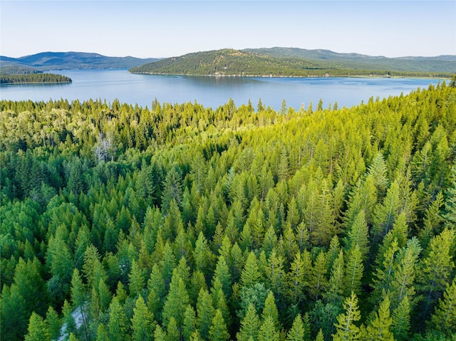 NHN Ashley Lake Rd, Kila, MT 59920
