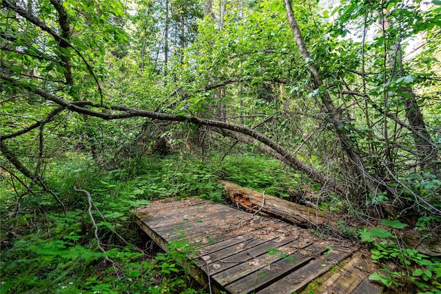 NHN Ashley Lake Rd, Kila, MT 59920