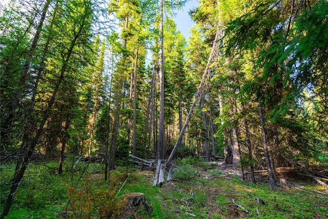 NHN Ashley Lake Rd, Kila, MT 59920