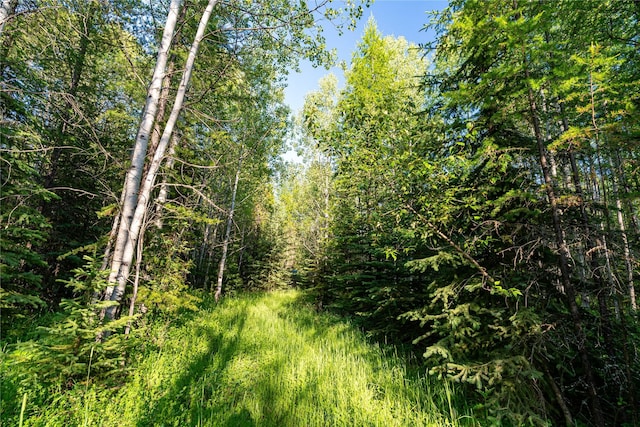 NHN Ashley Lake Rd, Kila, MT 59920