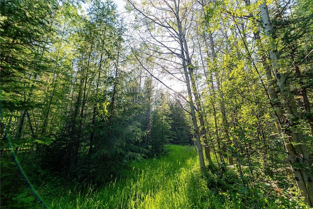 NHN Ashley Lake Rd, Kila, MT 59920