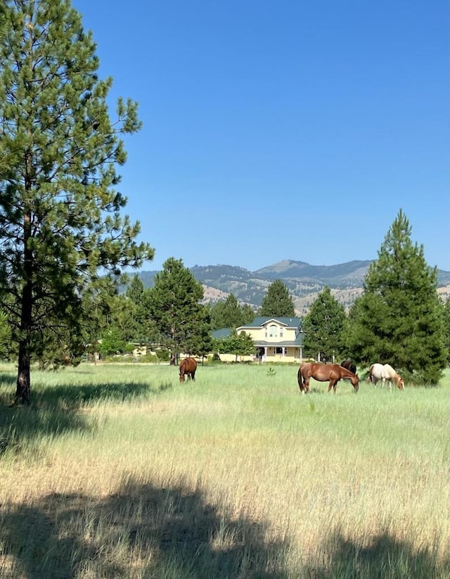 3688 Judith Ln, Darby, MT 59829 - view of mountain background featuring rural landscape and a pastoral area