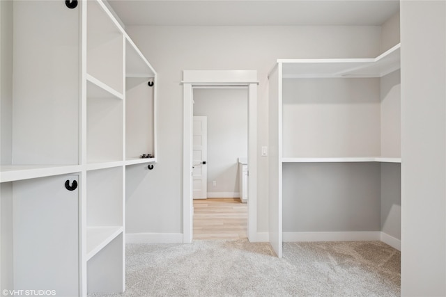spacious closet featuring carpet