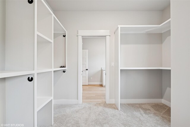 168 Wood Ridge Dr, Columbia Falls, MT 59912 - walk in closet featuring carpet floors