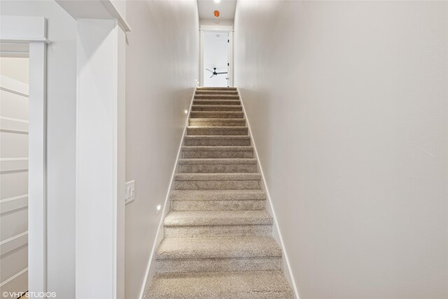168 Wood Ridge Dr, Columbia Falls, MT 59912 - stairway with baseboards and carpet flooring
