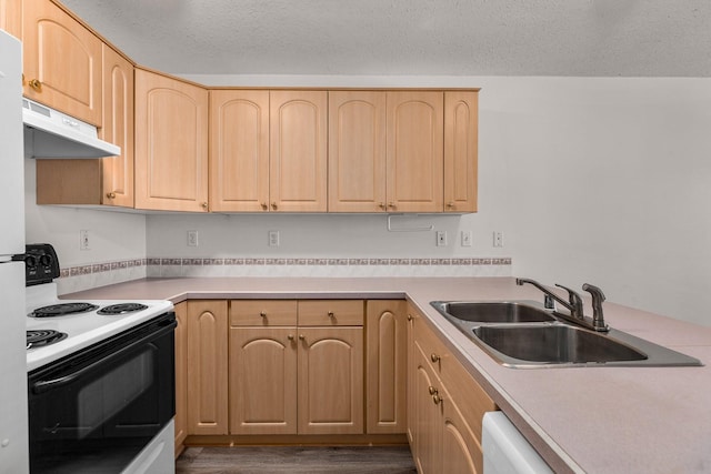 kitchen featuring electric stove, light brown cabinets, a sink, and under cabinet range hood
