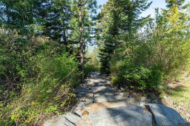 32220 Tamarack Dr, Bigfork, MT 59911 - view of road