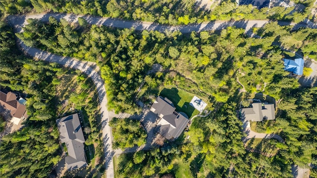 32220 Tamarack Dr, Bigfork, MT 59911 - aerial view of property's location