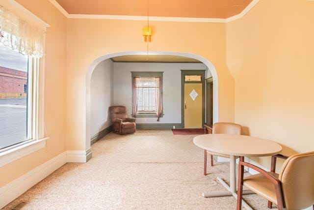 601 S Idaho St, Butte, MT 59701 - dining area featuring arched walkways, plenty of natural light, ornamental molding, carpet, and baseboards