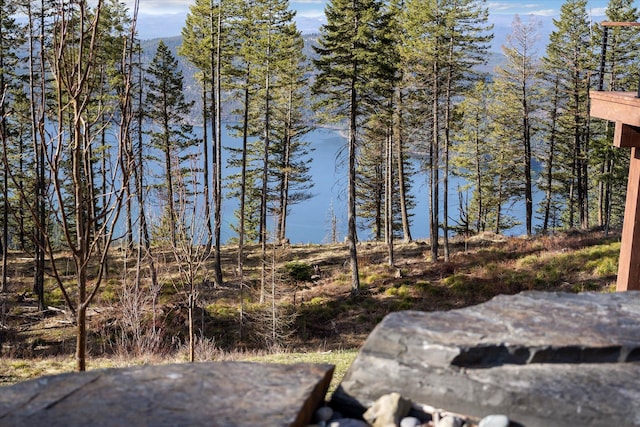 66 Elk Highlands Dr, Whitefish, MT 59937 - water view