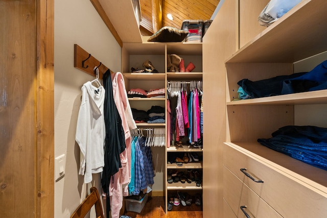 51605 Lake Mary Ronan Rd, Proctor, MT 59929 - spacious closet with wood finished floors