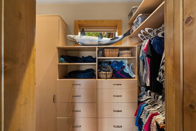 51605 Lake Mary Ronan Rd, Proctor, MT 59929 - view of walk in closet