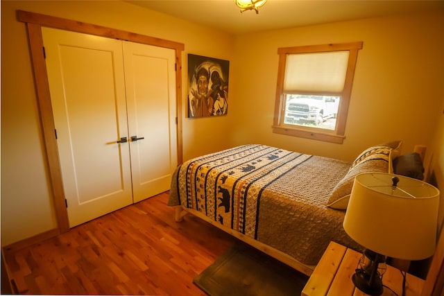 35966 Dublin Gulch Rd, Saint Ignatius, MT 59865 - bedroom with wood finished floors and a closet