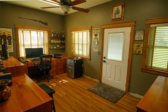 35966 Dublin Gulch Rd, Saint Ignatius, MT 59865 - office with a ceiling fan, light wood-style floors, and plenty of natural light